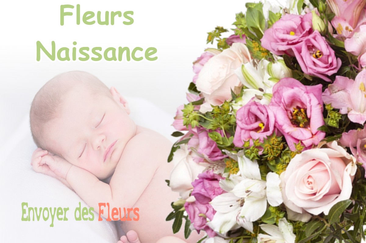 lIVRAISON FLEURS NAISSANCE à SAMADET